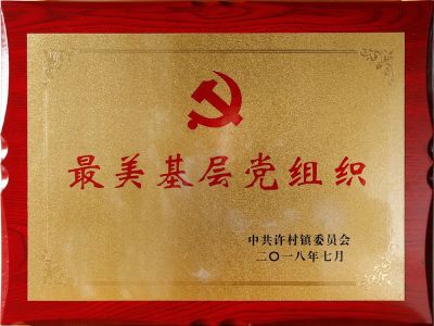 最美基層黨組織